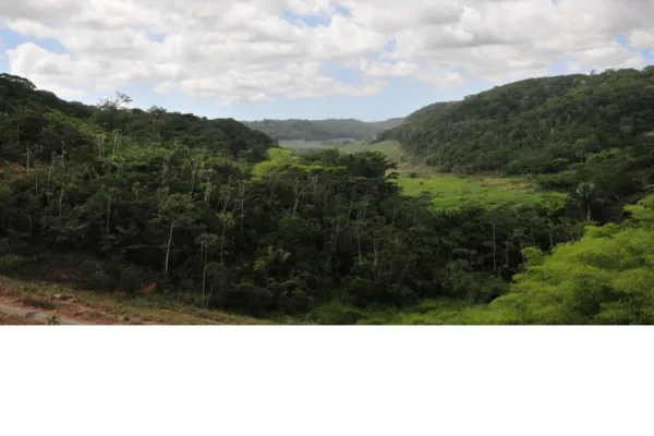 
				
					Alagoas é destaque  em ações de proteção aos remanescentes florestais
				
				
