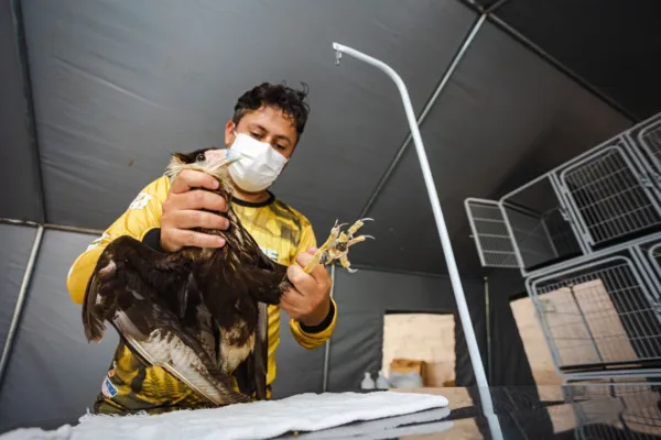 
				
					FPI resgata mais de 500 animais em situação de cativeiro irregular
				
				