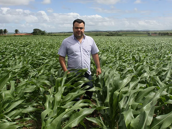 Muitos locais onde antes havia cana, hoje estão ocupados por plantios de soja e milho