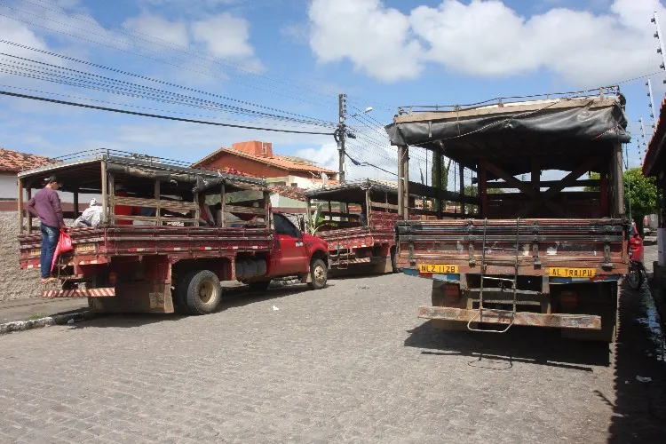Nas cidades do interior do estado, transporte de pessoas em carrocerias de caminhões é frequente
