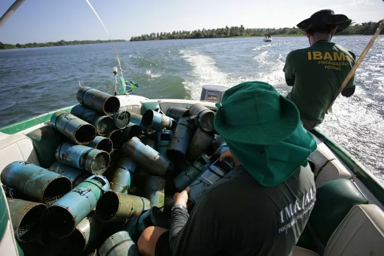 Combate à pesca predatória quer garantir sustento de pescadores