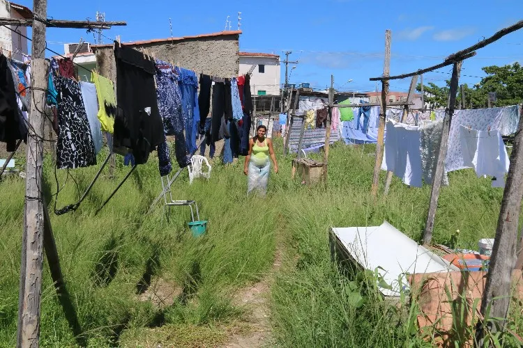 Trabalho é feito de maneira artesanal e sem o uso de maquinários