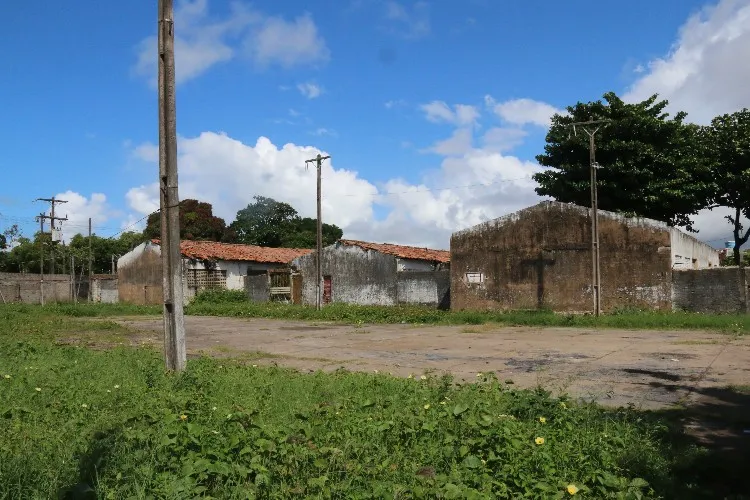 Trabalho é feito de maneira artesanal e sem o uso de maquinários