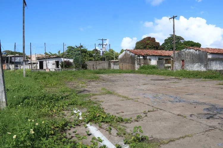 Trabalho é feito de maneira artesanal e sem o uso de maquinários