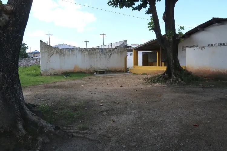 Trabalho é feito de maneira artesanal e sem o uso de maquinários