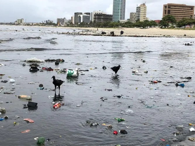 Após chuvas, lixo se acumula na Praia da Avenida