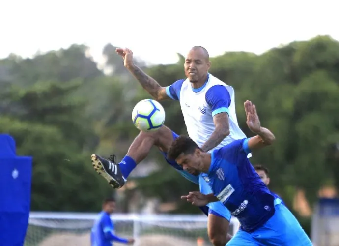 Elenco azulino se prepara para jogo de domingo, na vola do Brasileirão da Série A