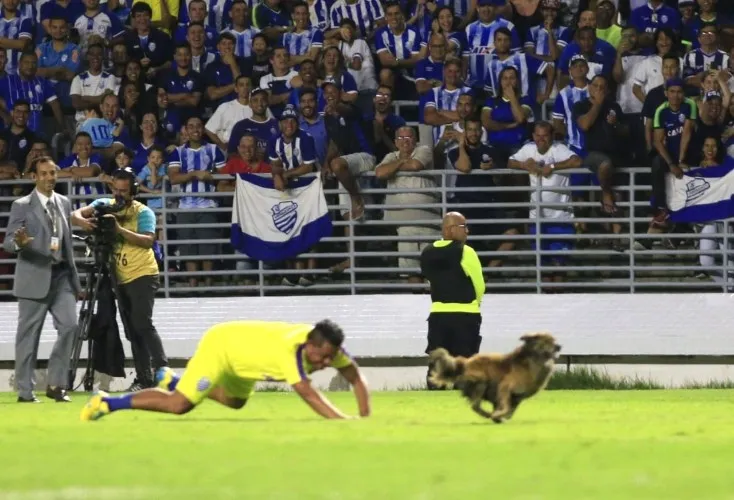 Com gol de Apodi, CSA empata com o Cruzeiro, nos acréscimos