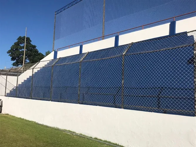 Nelsão da Via Expressa com as cores do CSA