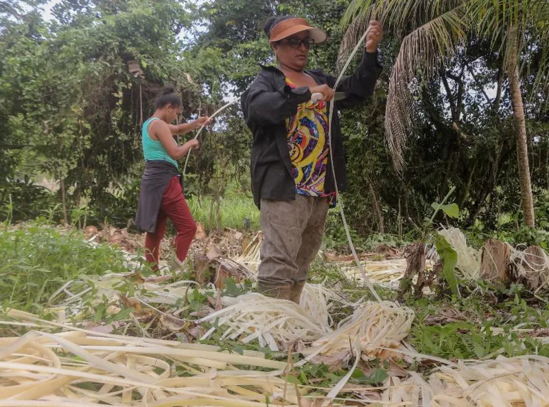 Instituto Yandê inicia gravações de documentário sobre a diversidade sociocultural da APA Costa dos Corais - Foto: Sayori Minato/Instituto Yandê