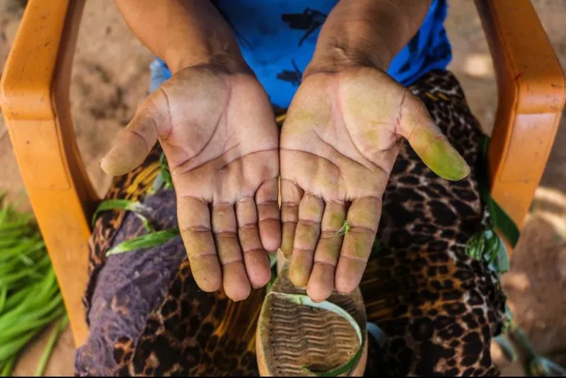 Instituto Yandê inicia gravações de documentário sobre a diversidade sociocultural da APA Costa dos Corais - Foto: Sayori Minato/Instituto Yandê