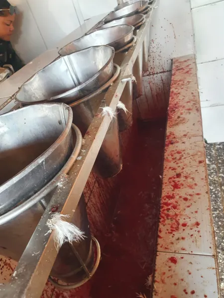 Avícola foi multada pelo IMA e pela Adeal