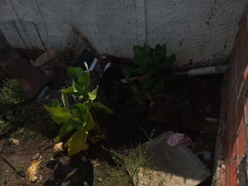 Avícola foi multada pelo IMA e pela Adeal