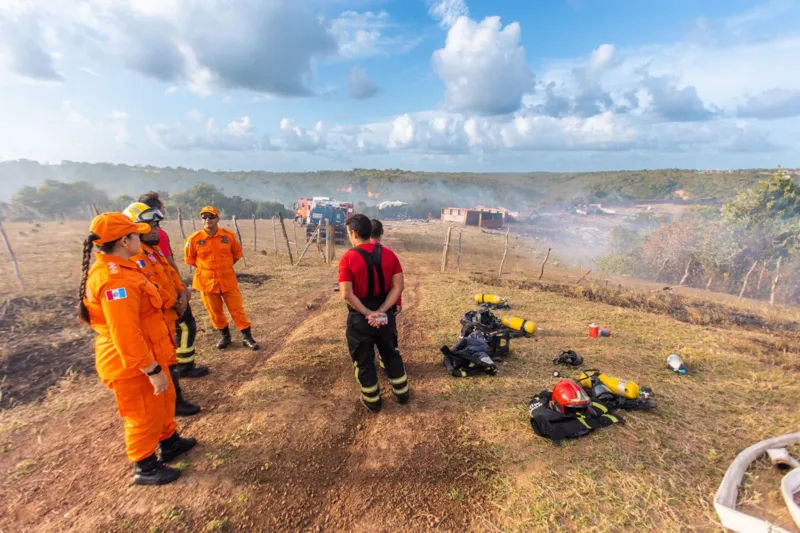 Imagens mostram que o incêndio atingiu grande parte da mata na região