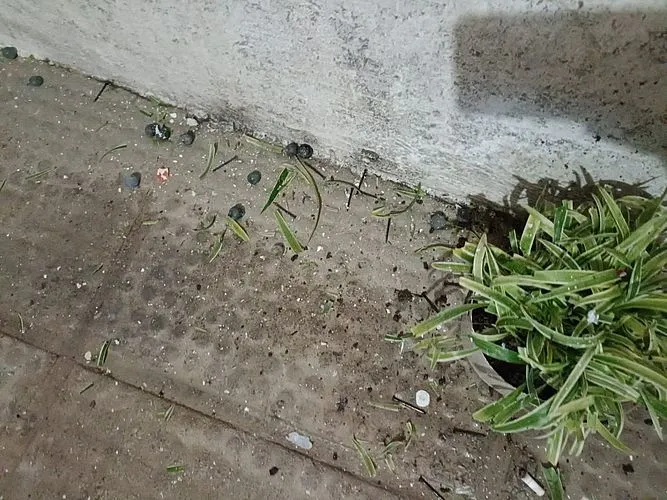 Ataque ao centro da torcida regatiana refletiu em casa vizinha