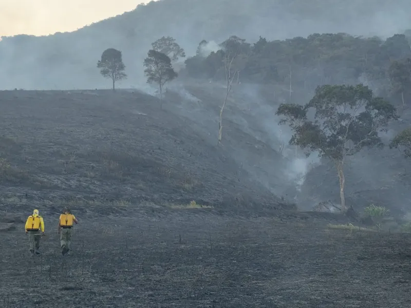 Estação Ecológica de Murici é atingida por incêndio
