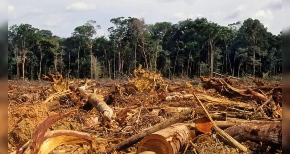 Até o dia 29 de outubro de 2021, a Amazônia registrou 795,7 km² de destruição