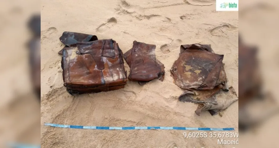 Imagem ilustrativa da imagem Novos fardos e fragmentos de óleo são encontrados no Litoral de Alagoas