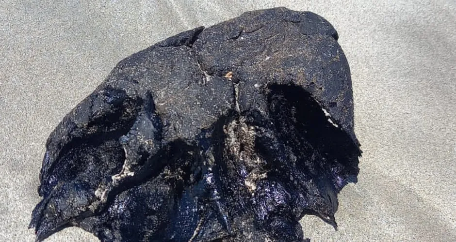 Manchas de óleo voltaram a ser encontradas no litoral alagoano
