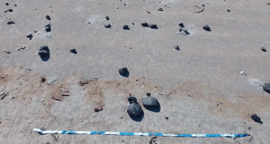 Manchas de óleo já foram encontradas em diversas praias do litoral de Alagoas