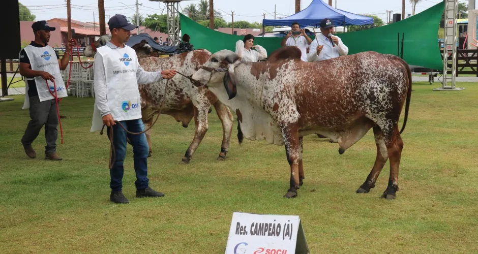 Expoagro Alagoas recebeu criadores de todo o país
