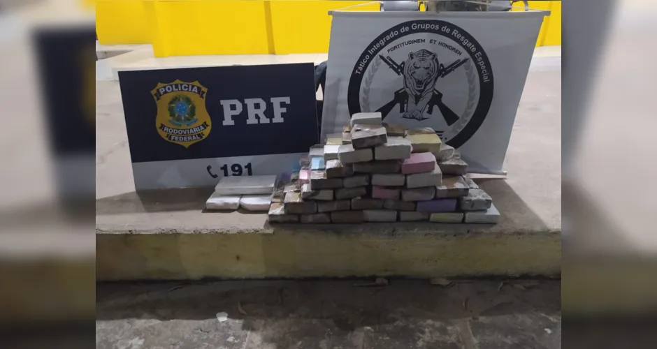 Imagem ilustrativa da imagem Mais de 100 tabletes de maconha e três de cocaína são apreendidos em carro transportado por caminhão-cegonha em São Sebastião