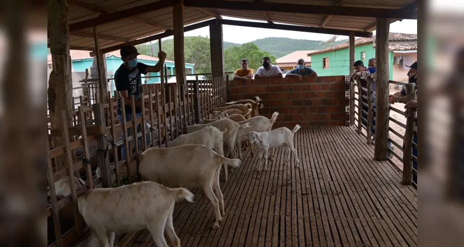 Girau do Ponciano expande agronegócio e luta por Escola Agrotécnica