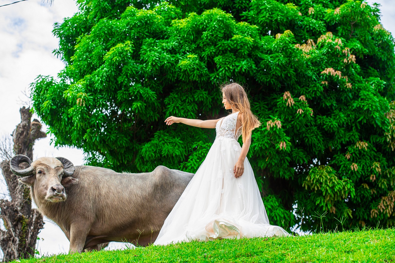 Editorial Ivana Beaumond