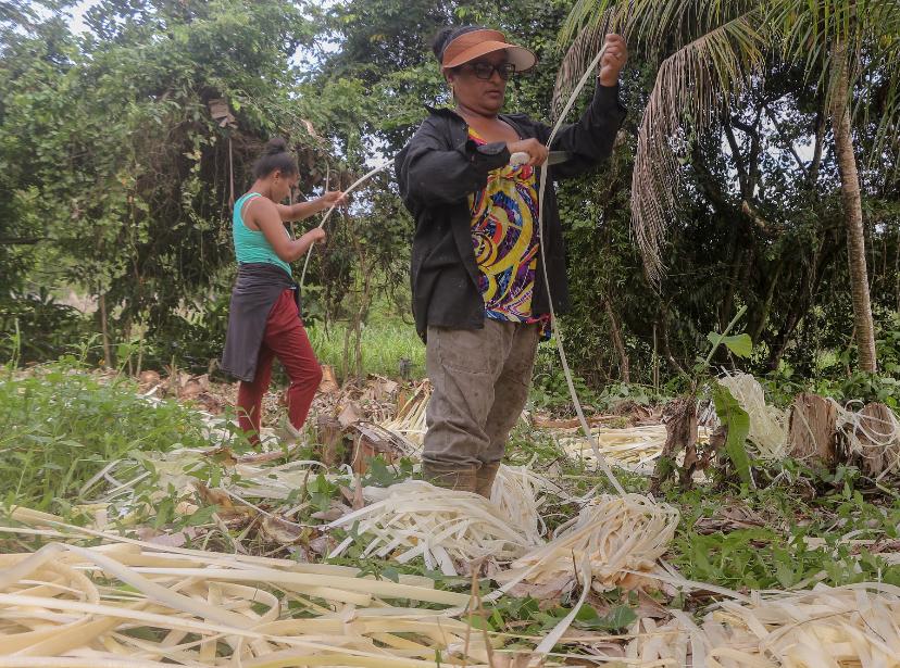Instituto Yandê inicia gravações de documentário sobre a diversidade sociocultural da APA Costa dos Corais - Foto: Sayori Minato/Instituto Yandê