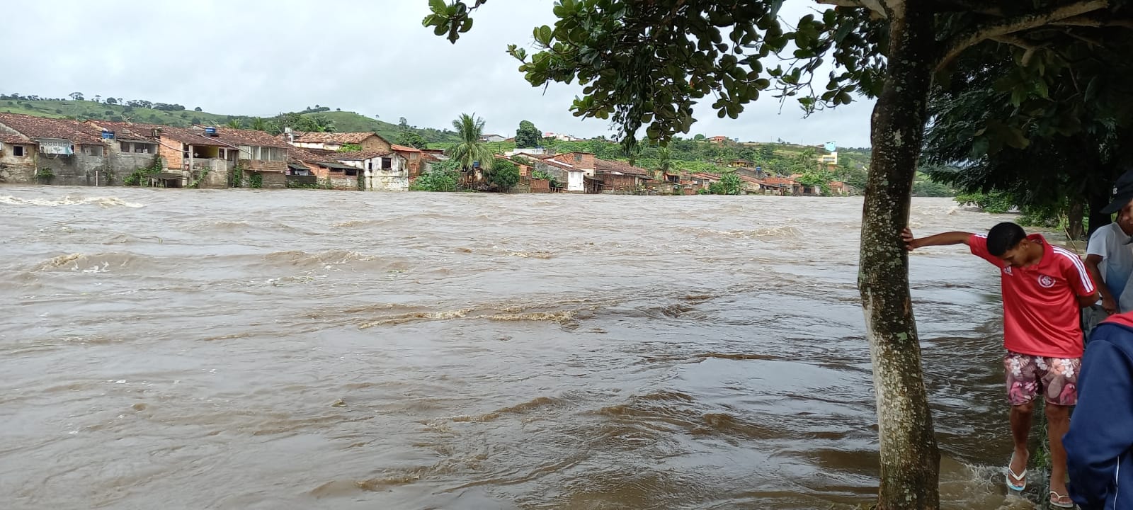 VÍDEOS: Rio Paraíba transborda e invade ruas em Viçosa, na Zona Mata de AL