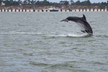 
				Os melhores lugares para visitar durante as férias em Portugal
			
			