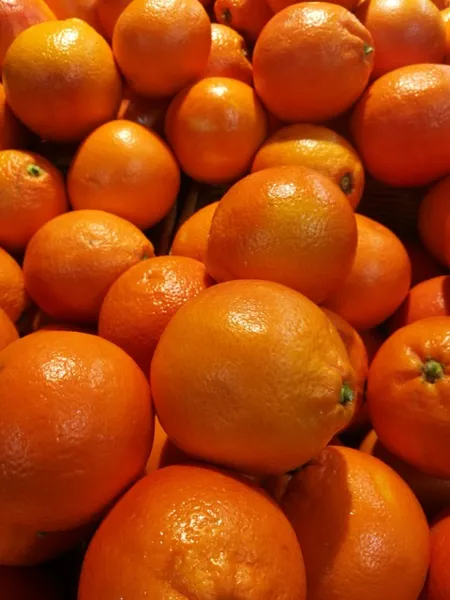 Fatia de Parida, Rabanada ou simplesmente a sobremesa que fez sucesso no Mestre do Sabor