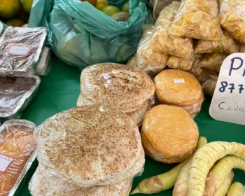 Feira Sustentável em Maceió: Experiência Gastronômica e Araruta, já ouviu falar ?