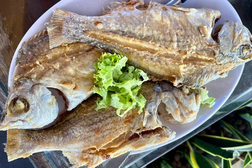 
				Delícias e Lembranças no Bar do Delegado: Um Retrato Gastronômico da Massagueira
			
			