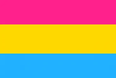
			
				Pansexualidade "?!"
			
			
