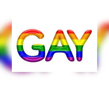 Qual é o significado da palavra gay ?